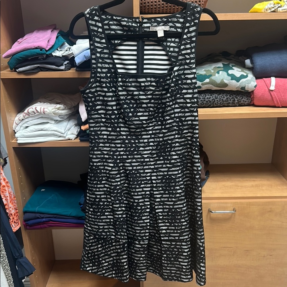 Banana Reublic Black and White Lace Sleeveless Fit-and-Flare Dress